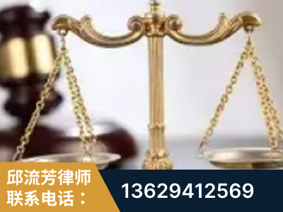 辛集-委托诉讼代理人出庭